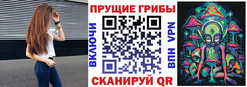 ссылка на мегу как зайти Усть-Катав это формула Галлюциногенные грибы ЛСД